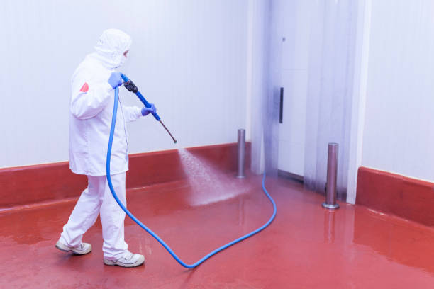 Best Playground Equipment Cleaning  in Eagle Butte, SD