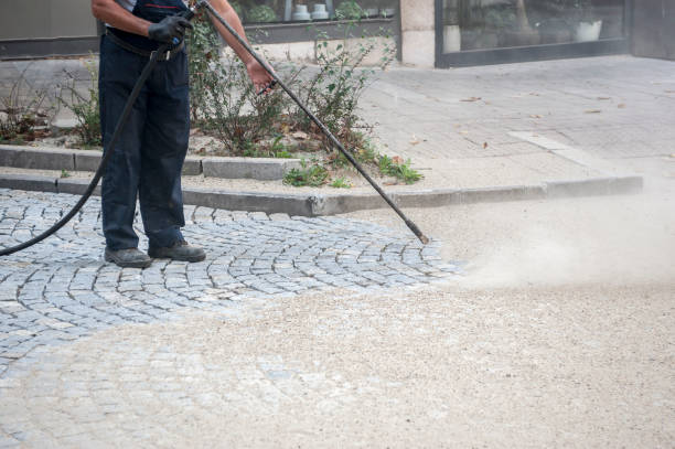 Best Dumpster Area Cleaning  in Eagle Butte, SD