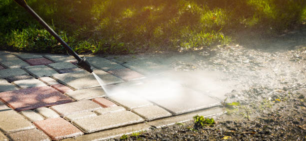 Best Sidewalk and Walkway Cleaning  in Eagle Butte, SD
